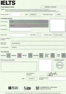 Getting 9 in IELTS reading